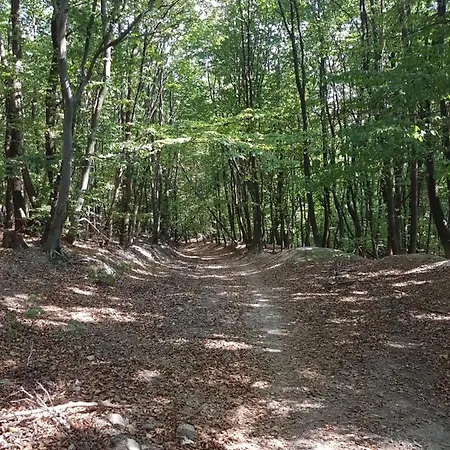 Family With Garden View Lägenhet Bratislava