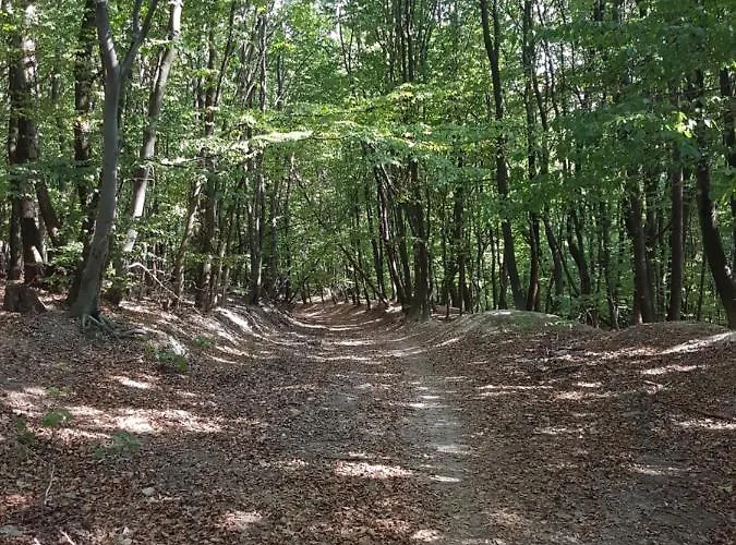 Family With Garden View Apartment Bratislava